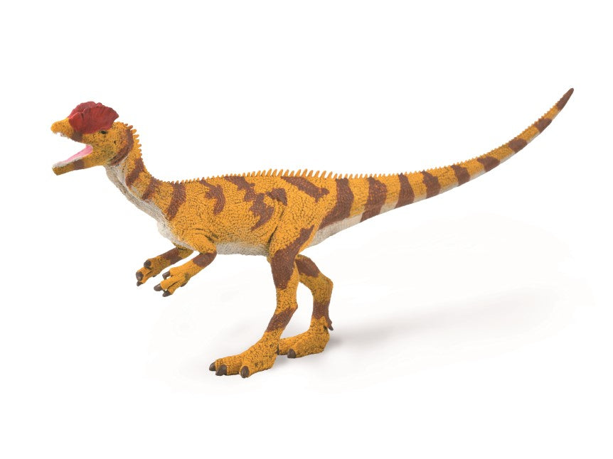 CollectA - 88923 - DILOPHOSAURUS (L)