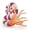 CollectA - 88927 - PRAVITOCERAS (L)