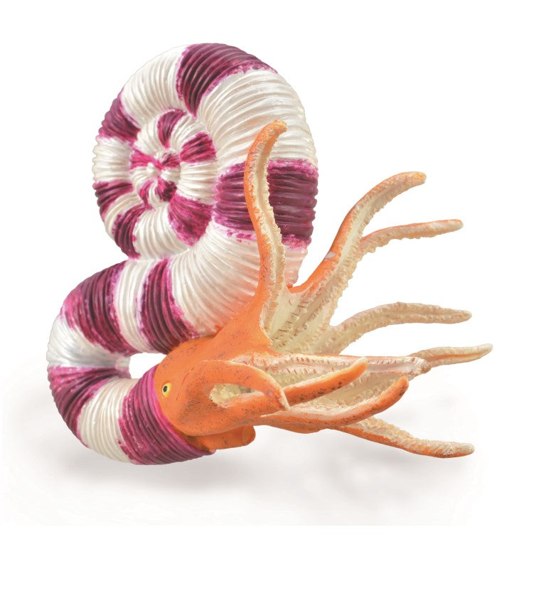 CollectA - 88927 - PRAVITOCERAS (L)