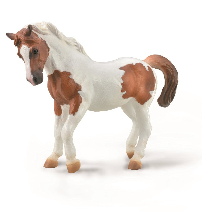 CollectA - 88929 - CHINCOTEAGUE PINTO PONY - KASTANIENBRAUN (XL)