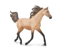 CollectA - 88931 - HALB-ARABER DUNSKIN HENGST 1:12 (DELUXE)