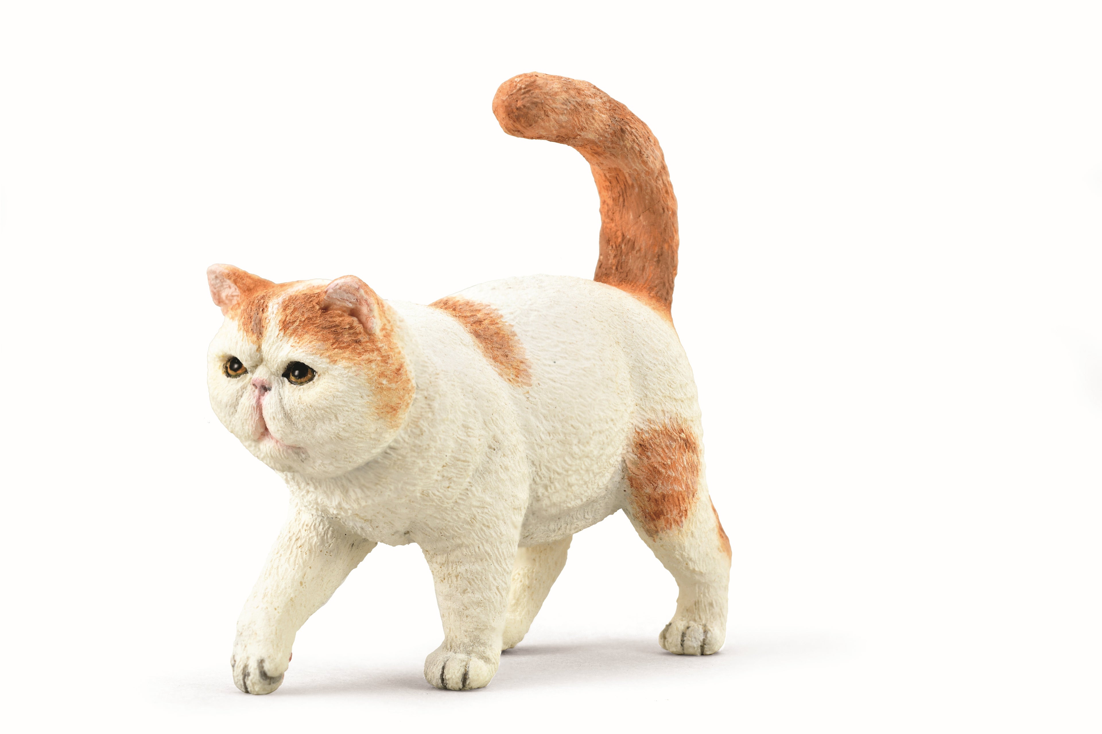 CollectA - 88937 - EXOTISCHE KURZHAARKATZE (S)