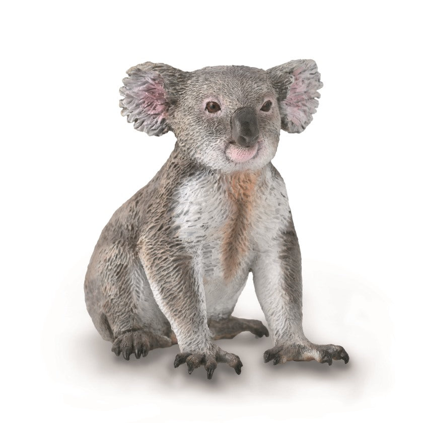 CollectA - 88940 - KOALA (M)