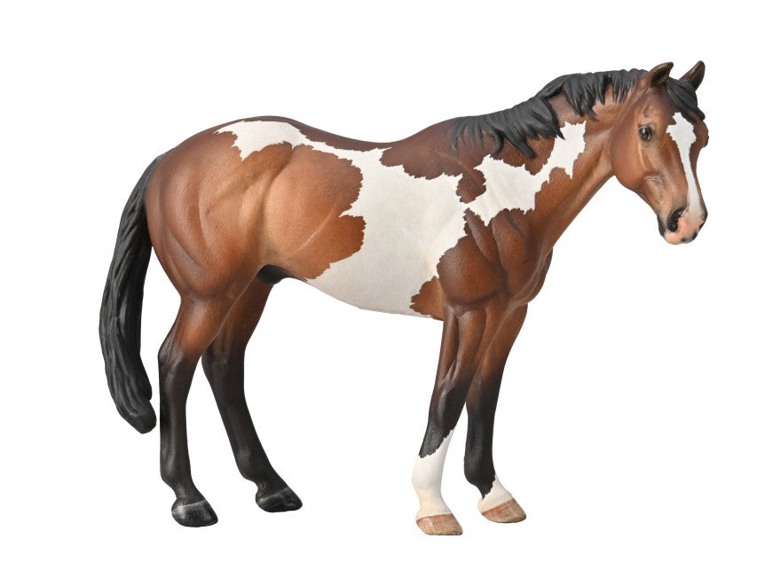 CollectA - 88956 - APPALOOSA HENGST BRAUNSCHECKE (XL)