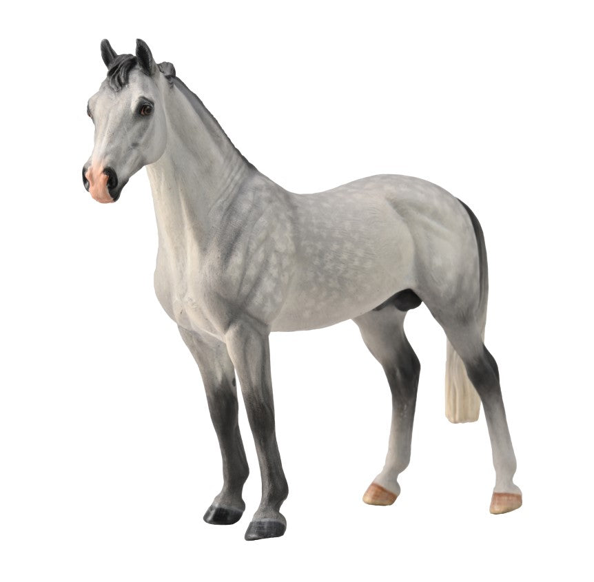 CollectA - 88957 - HANNOVERANER HENGST APFELSCHIMMEL (XL)