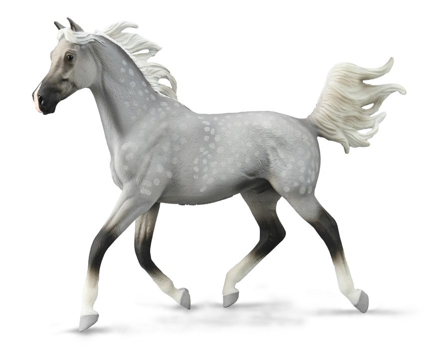 CollectA - 88959 - HALB-ARABER HENGST APFELSCHIMMEL (1:12 DELUXE)