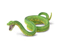 CollectA - 88962 - GRUENER BAUMPYTHON (L)