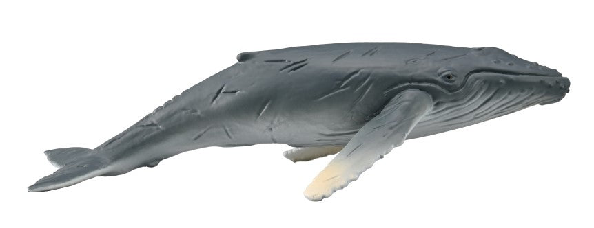CollectA - 88963 - BUCKELWAL KALB (M)
