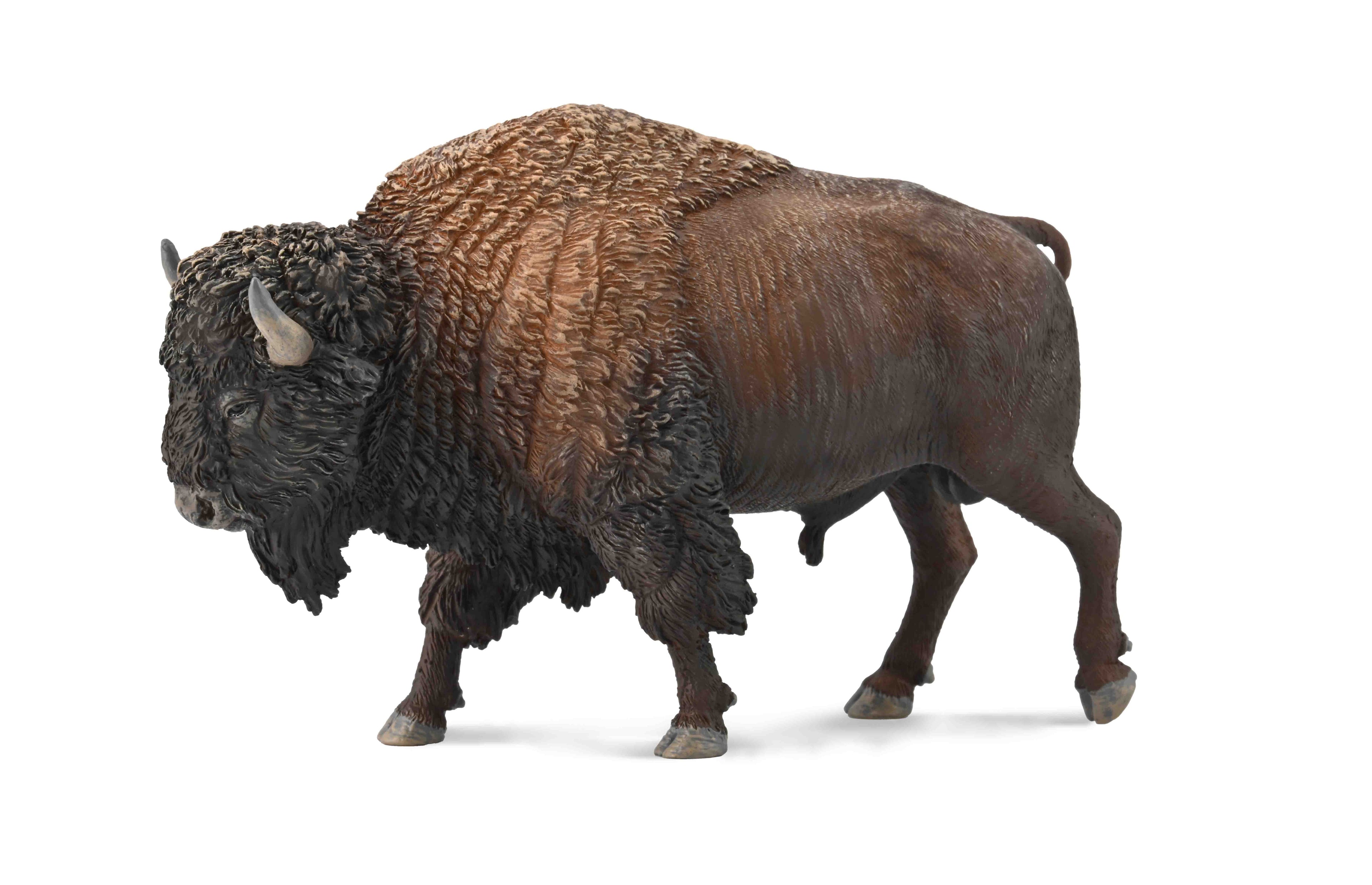 CollectA - 88968 - AMERIKANISCHER BISON (XL)