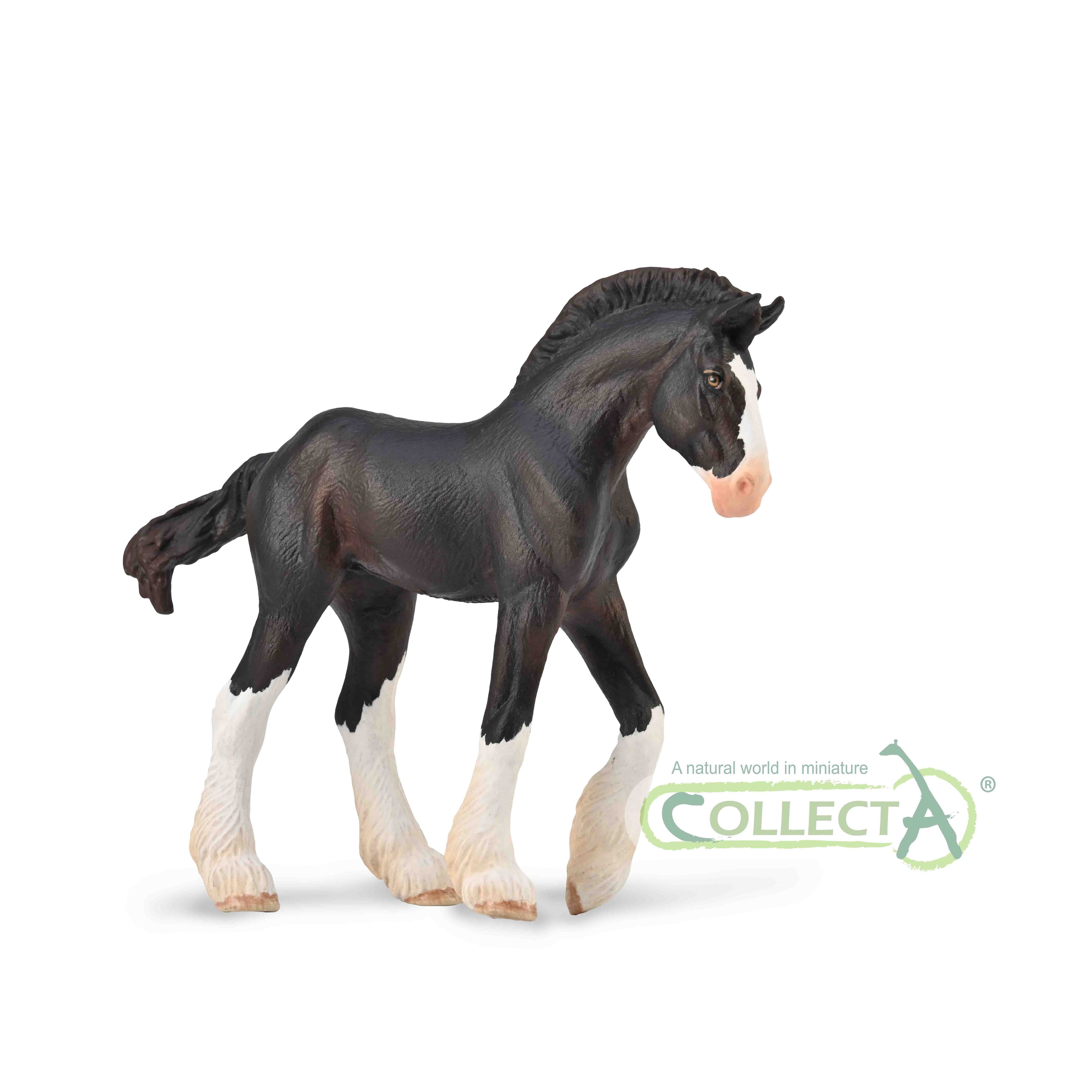 CollectA - 88982 - CLYDESDALE FOHLEN - SCHWARZ (M)