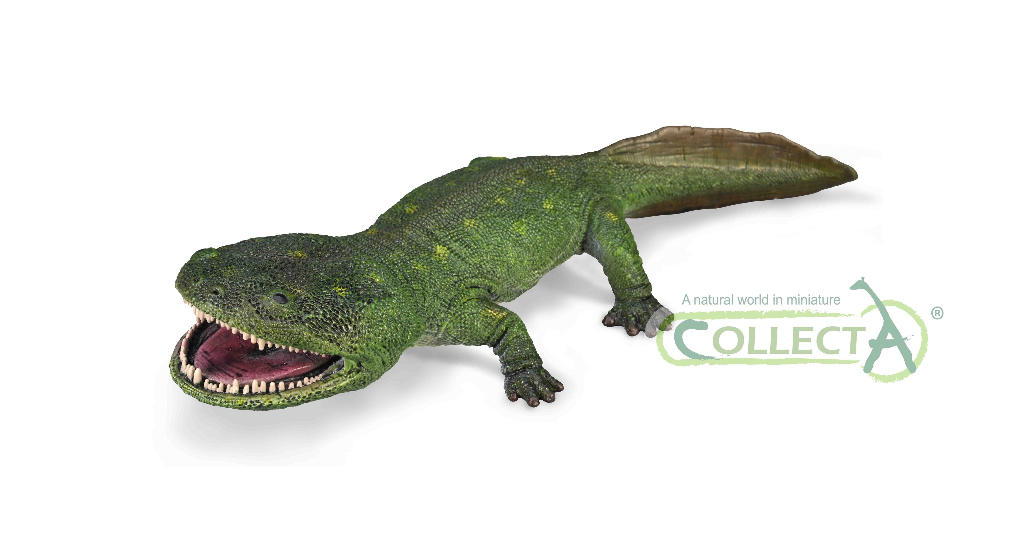 CollectA - 88988 - KOOLASUCHUS CLEELANDI 1:20 (DELUXE)