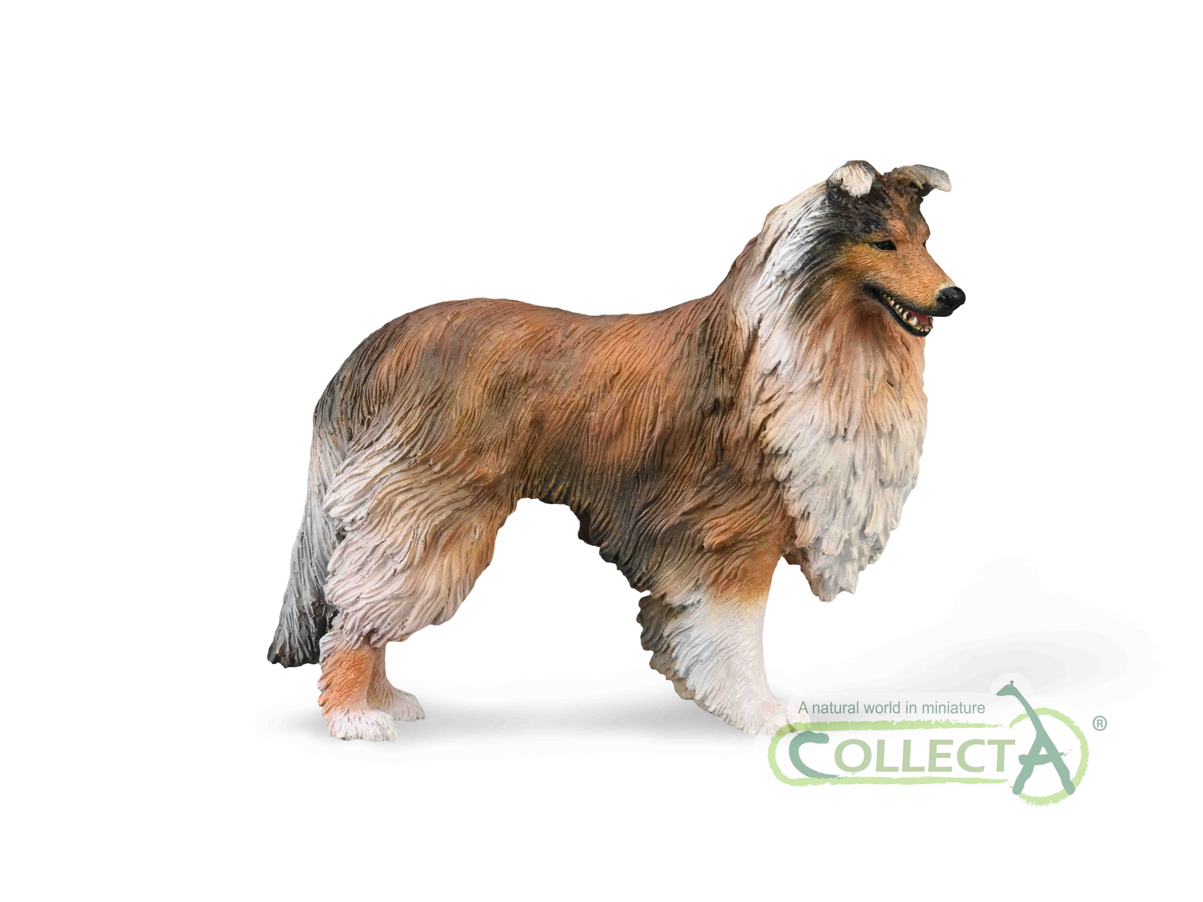 CollectA - 88997 - RAUER COLLIE (L)