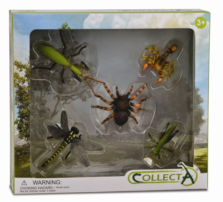 CollectA - 89135 - 5 ST INSEKTEN SET WINDOW BOX