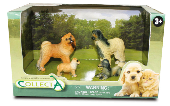 CollectA - 89143 - * 4 ST KATZEN SET OPEN BOX