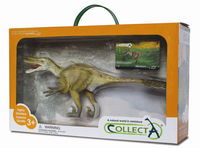 CollectA - 89207 - VELOCIRAPTOR 1:6 DELUXE, WINDOW BOX