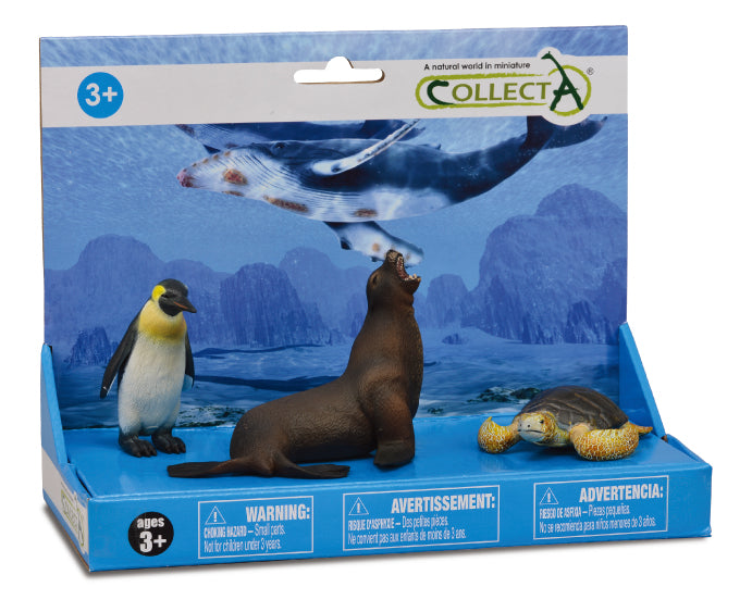 CollectA - 89278 - ***3 ST MEERESLEBEN SET PLATFORM