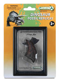 CollectA - 89280 - T-REX GROSSE ZEHE, Display-Kästchen