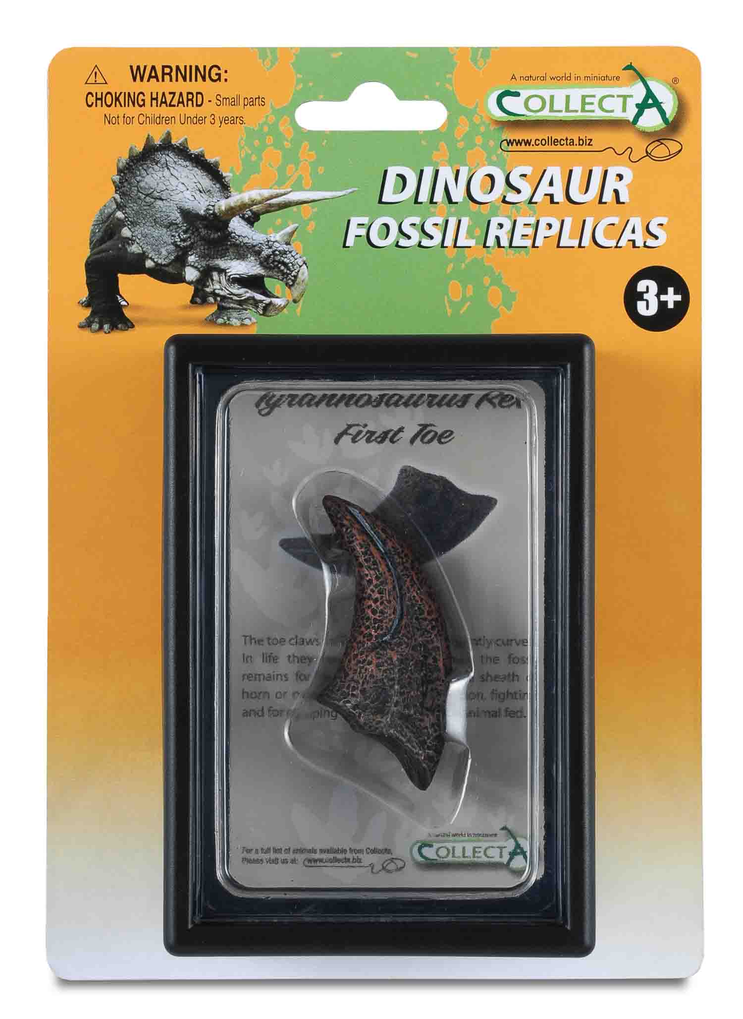 CollectA - 89280 - T-REX GROSSE ZEHE, Display-Kästchen
