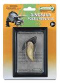 CollectA - 89281 - T-REX ZAHN,Display-Kästchen