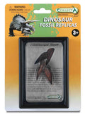 CollectA - 89283 - TRICERATOPS ZAHN, Display-Kästchen
