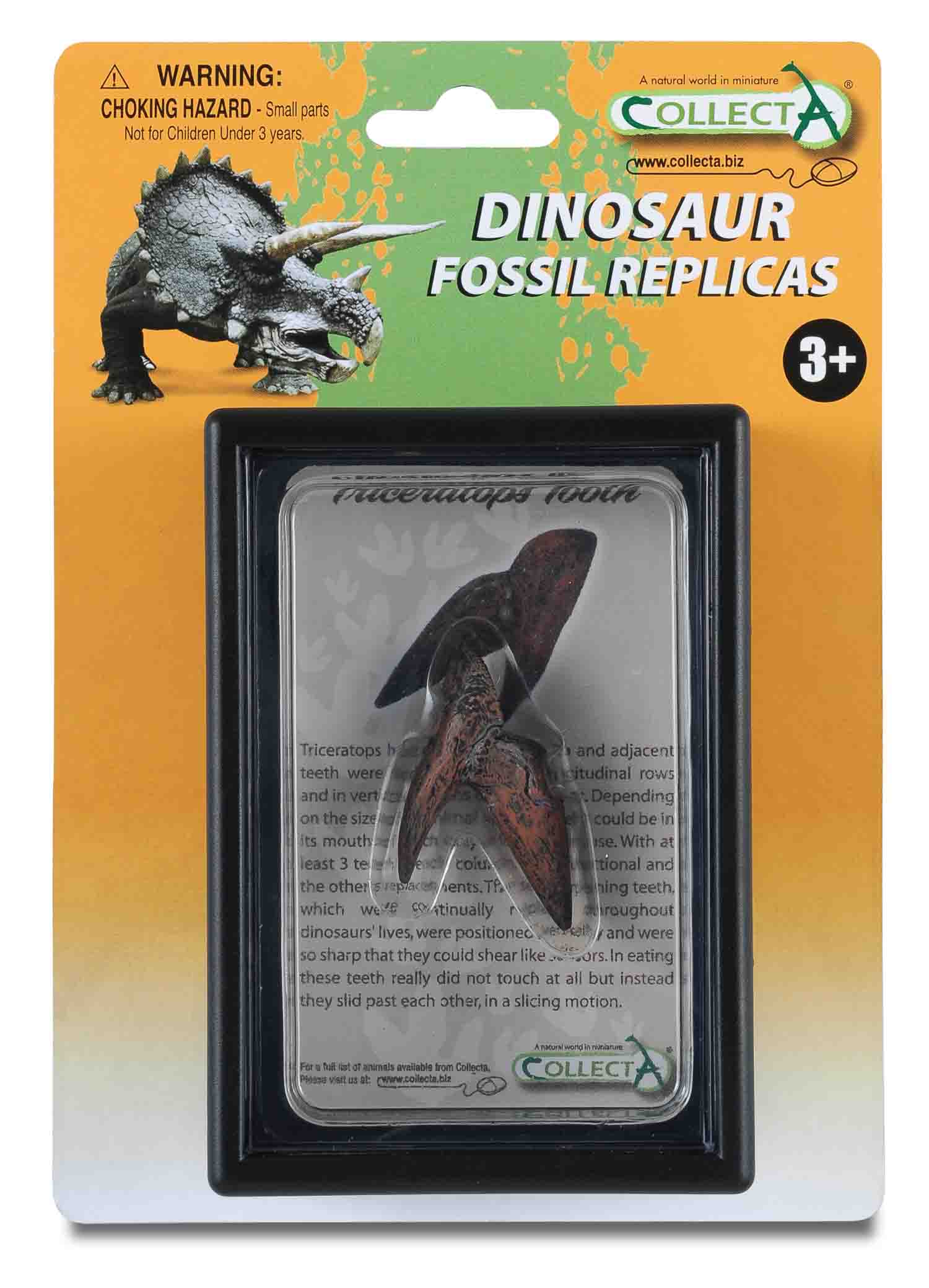 CollectA - 89283 - TRICERATOPS ZAHN, Display-Kästchen