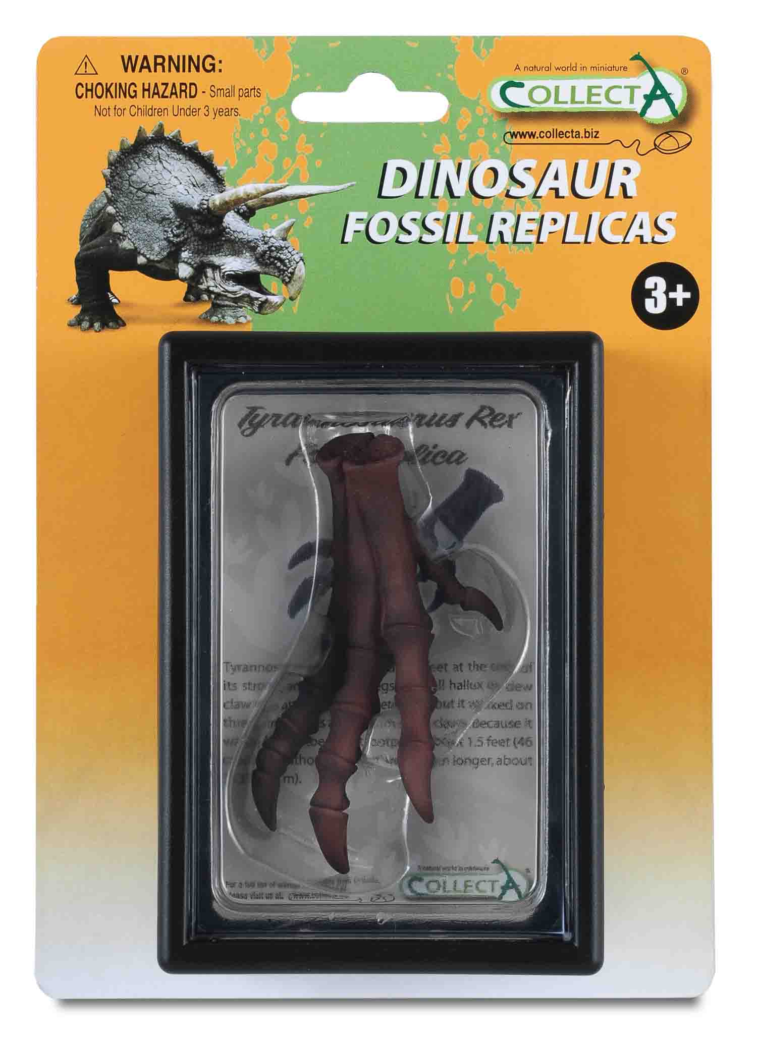 CollectA - 89284 - TYRANNOSAURUS FUSSNACHBILDUNG, Display-Kästchen