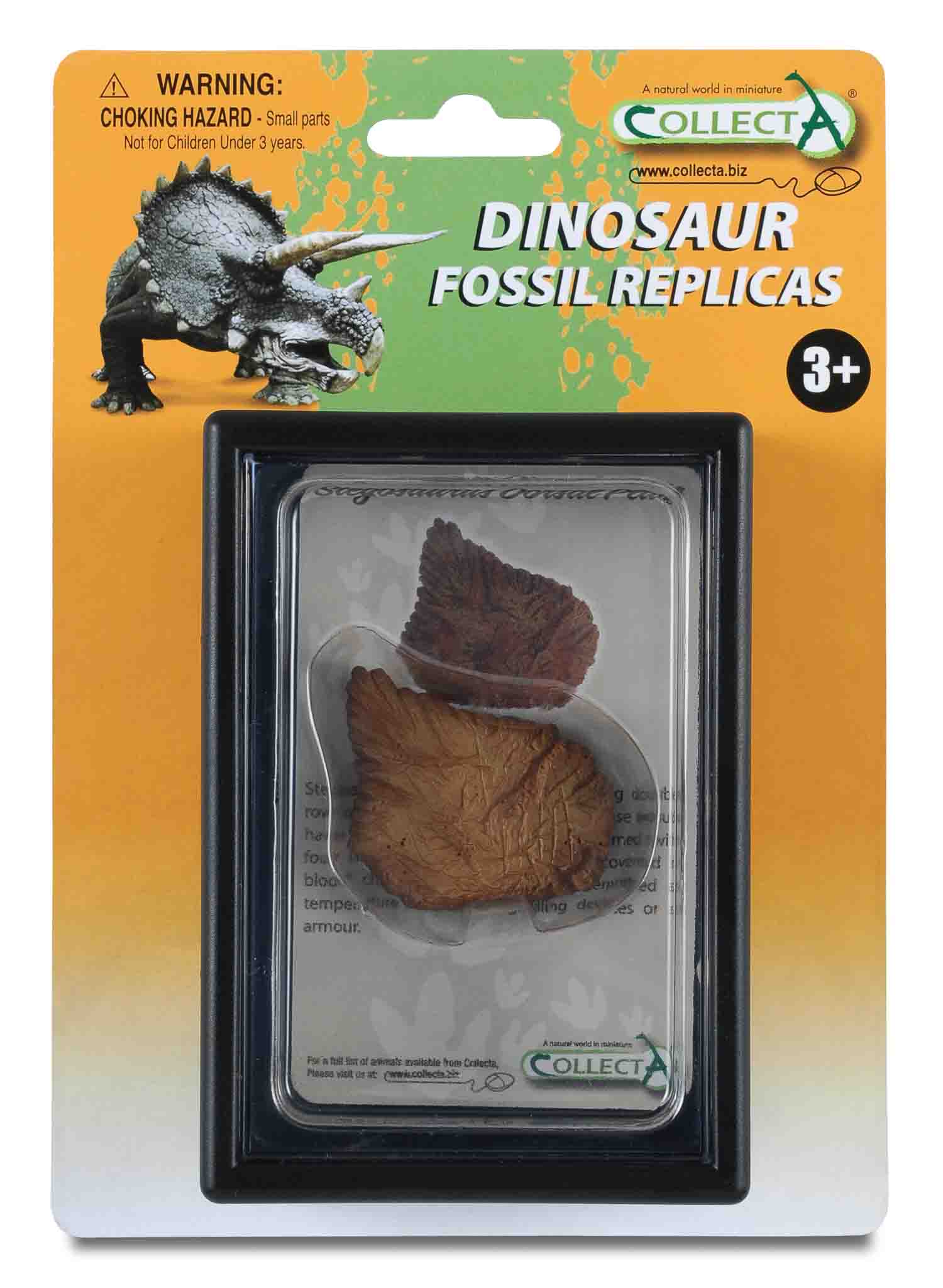 CollectA - 89286 - STEGOSAURUS FUSSNACHBILDUNG, Display-Kästchen