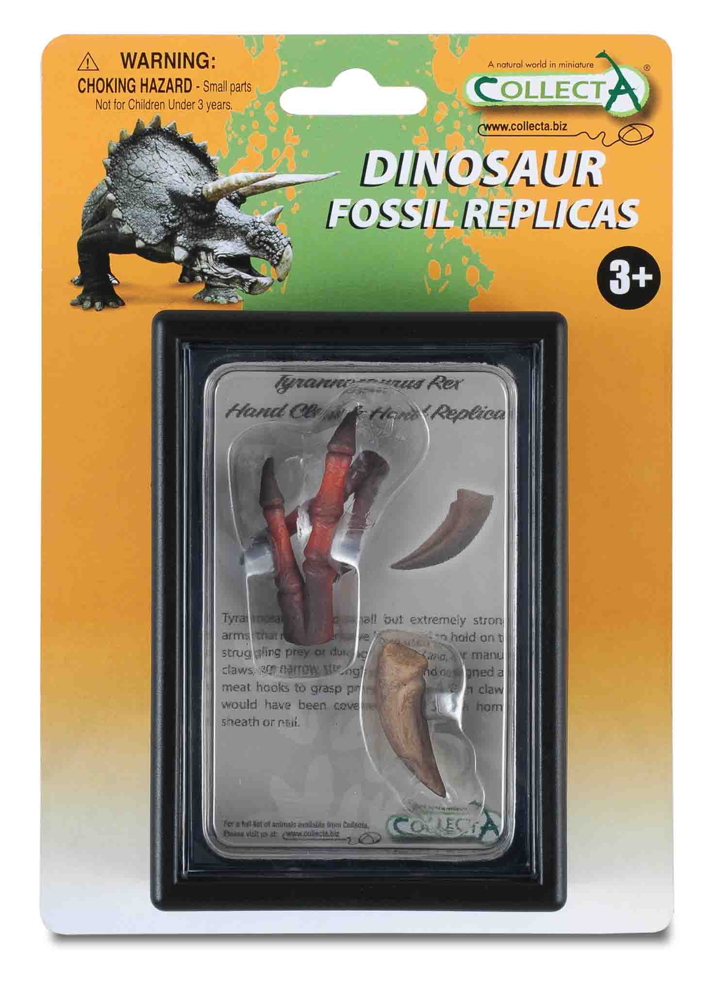 CollectA - 89289 - TYRANNOSAURUS VORDERFUSSKRALLE UND HANDNACHBILDUNG, Display-Kästchen
