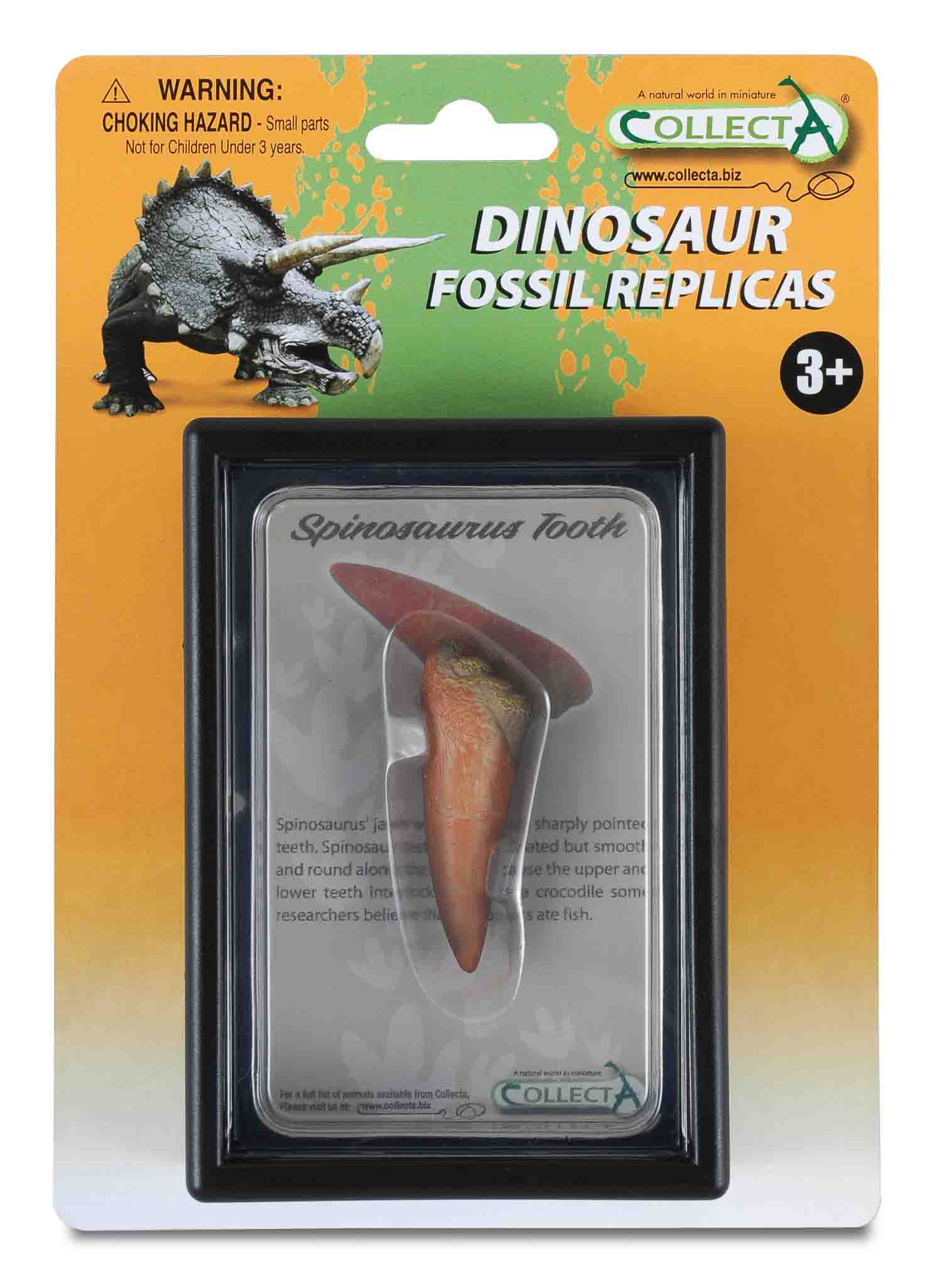CollectA - 89290 - SPINOSAURUS ZAHN, Display-Kästchen