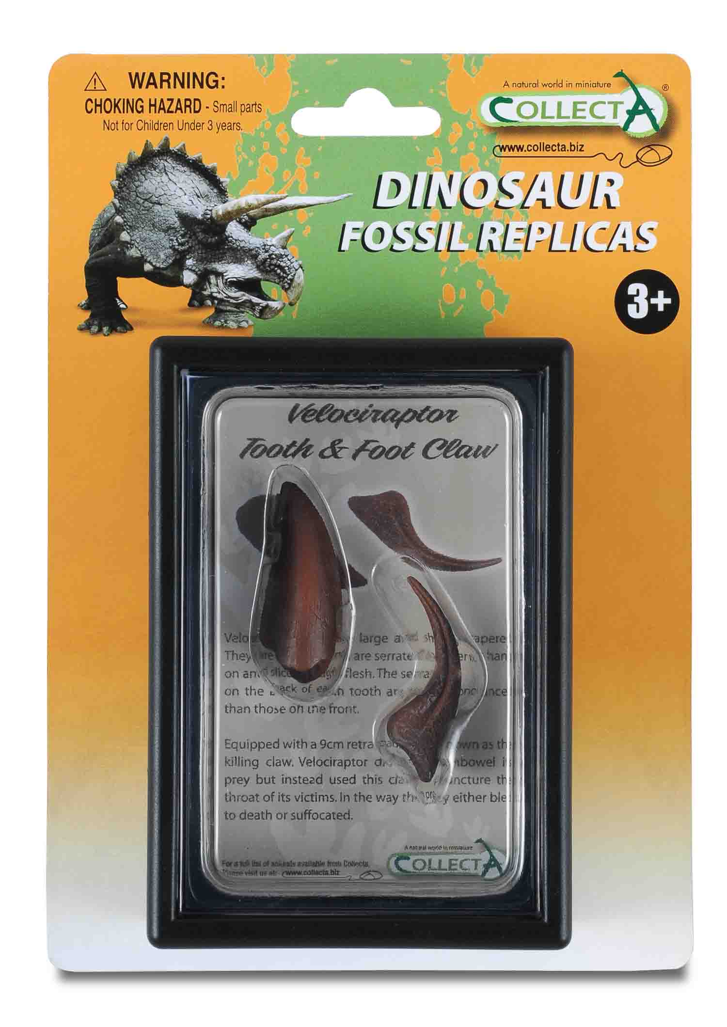 CollectA - 89291 - VELOCIRAPTOR ZAHN UND HINTERFUSSKRALLE