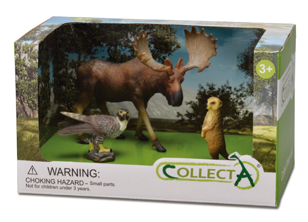 CollectA - 89573 - * 3 ST WILDLEBEN SET OPEN BOX