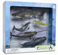 CollectA - 89671 - 5 ST MEERESLEBEN SET WINDOW BOX