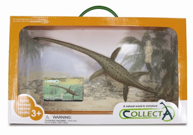 CollectA - 89883 - THALASSOMEDON 1:40 DELUXE, WINDOW BOX