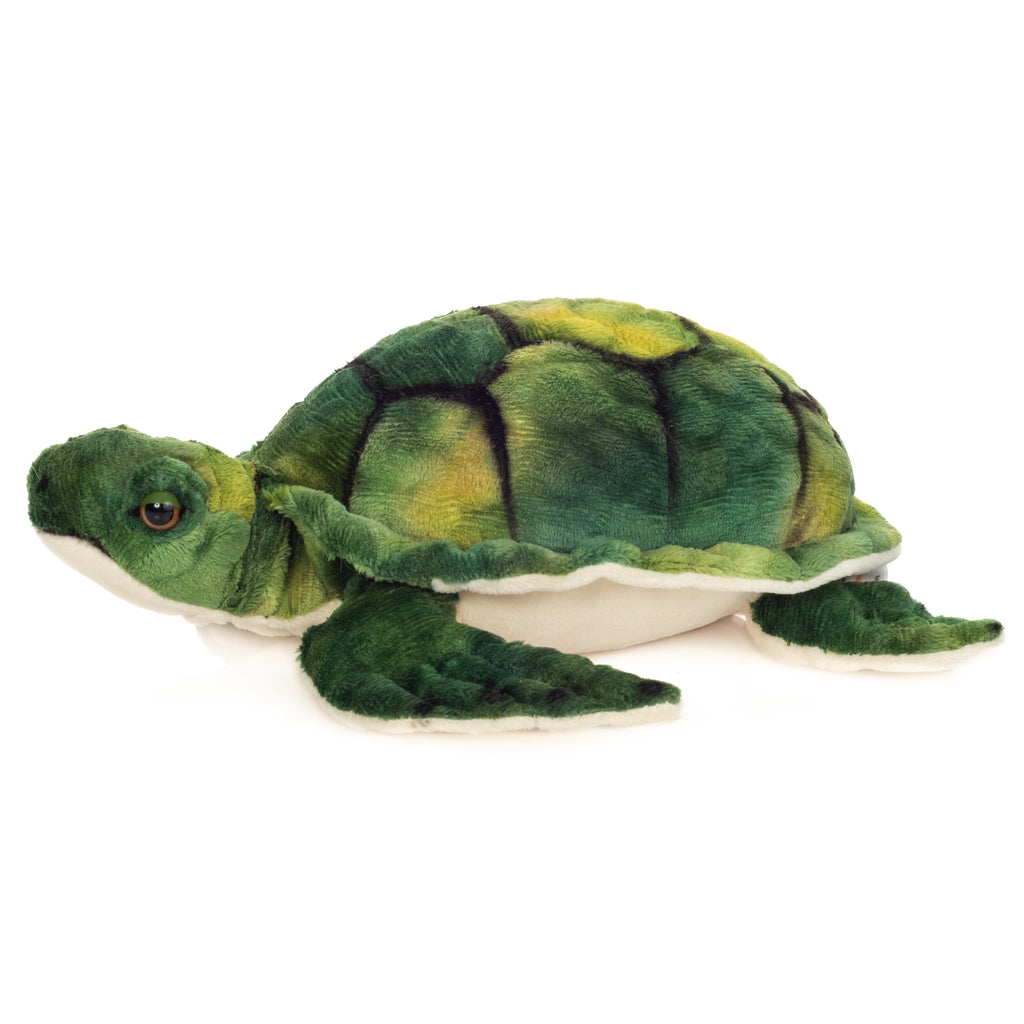 Wasserschildkröte 23 cm