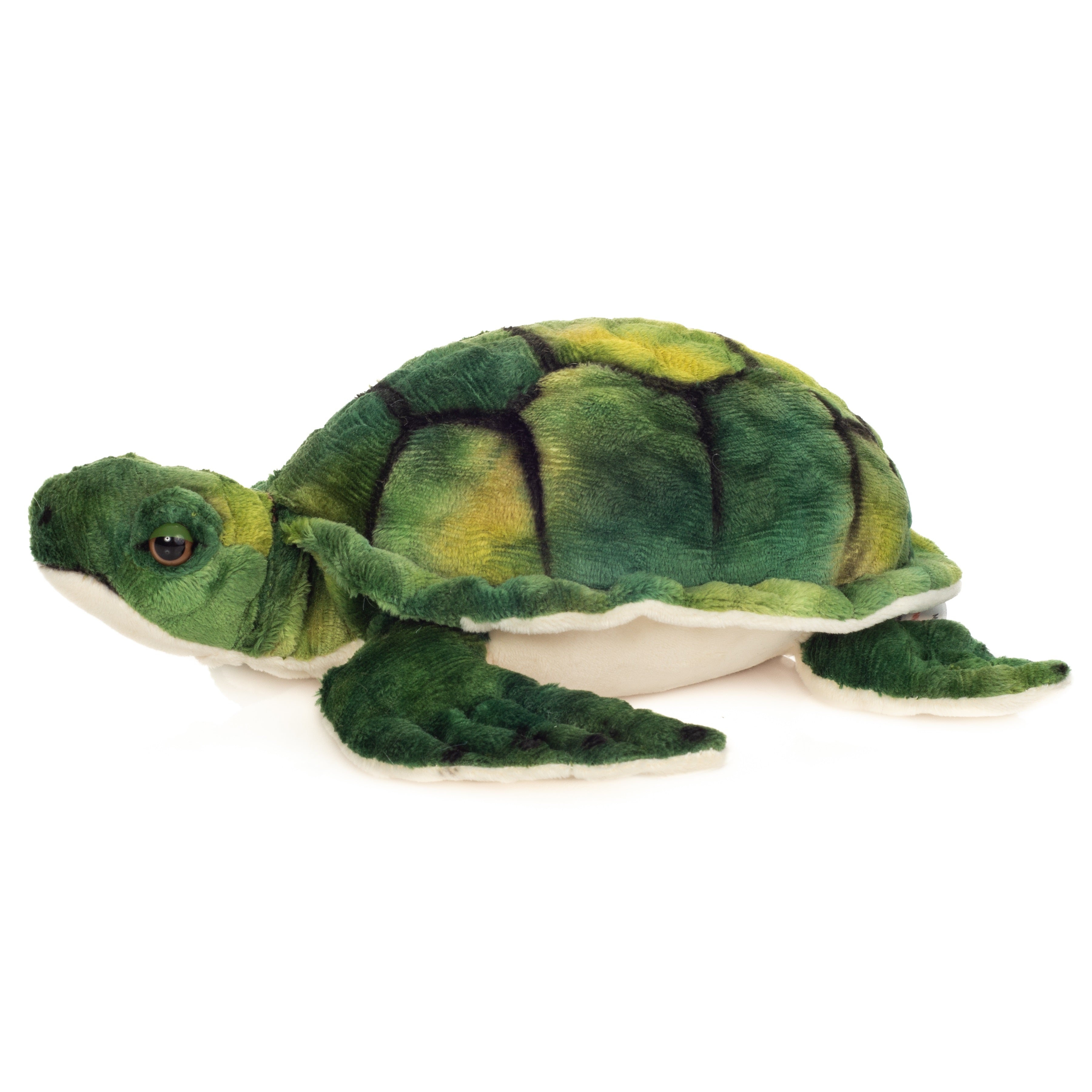 Wasserschildkröte 23 cm