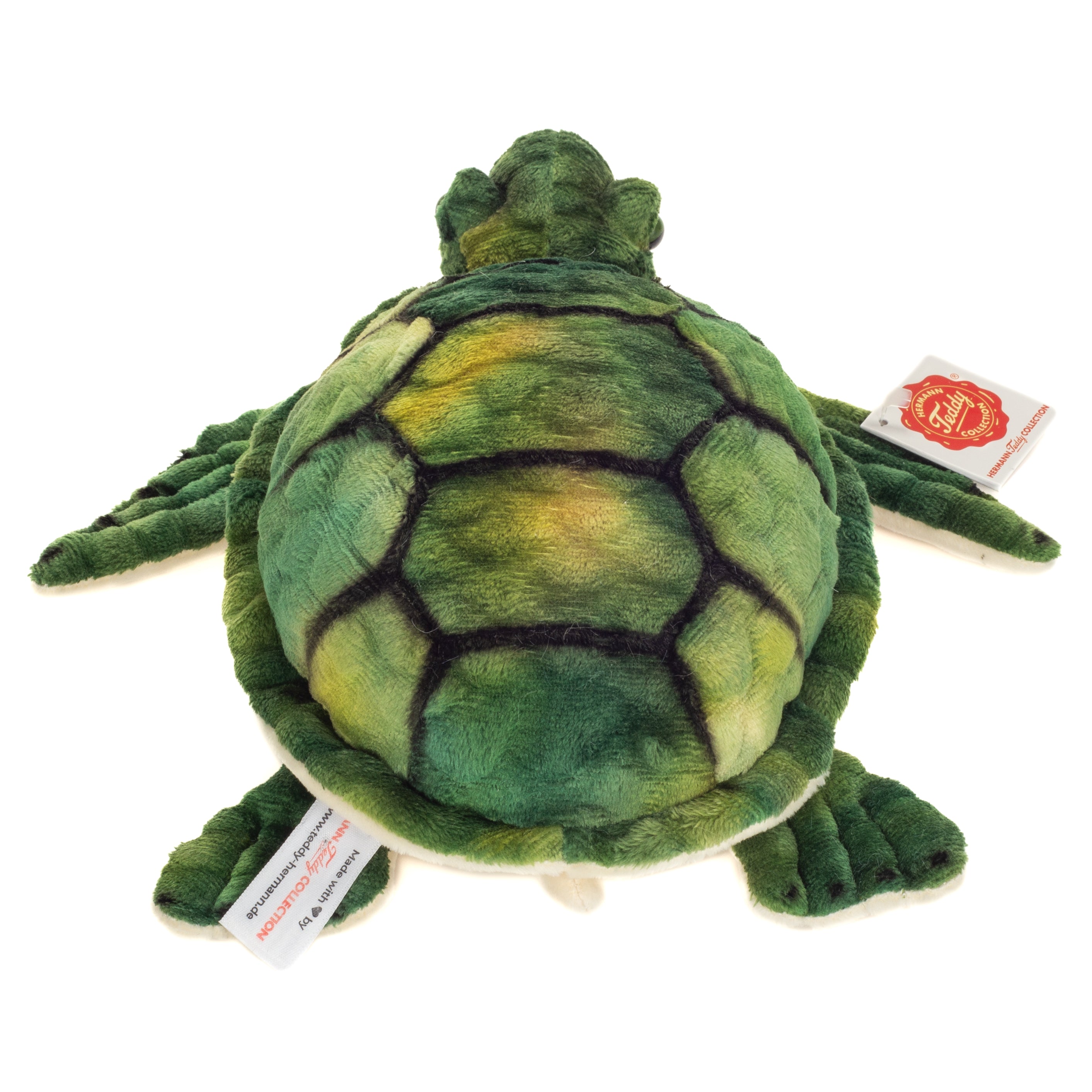 Wasserschildkröte 23 cm