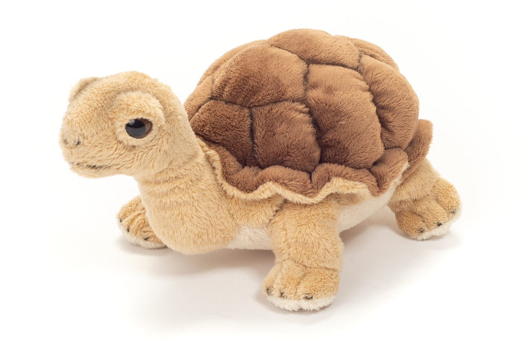 Schildkröte 20 cm