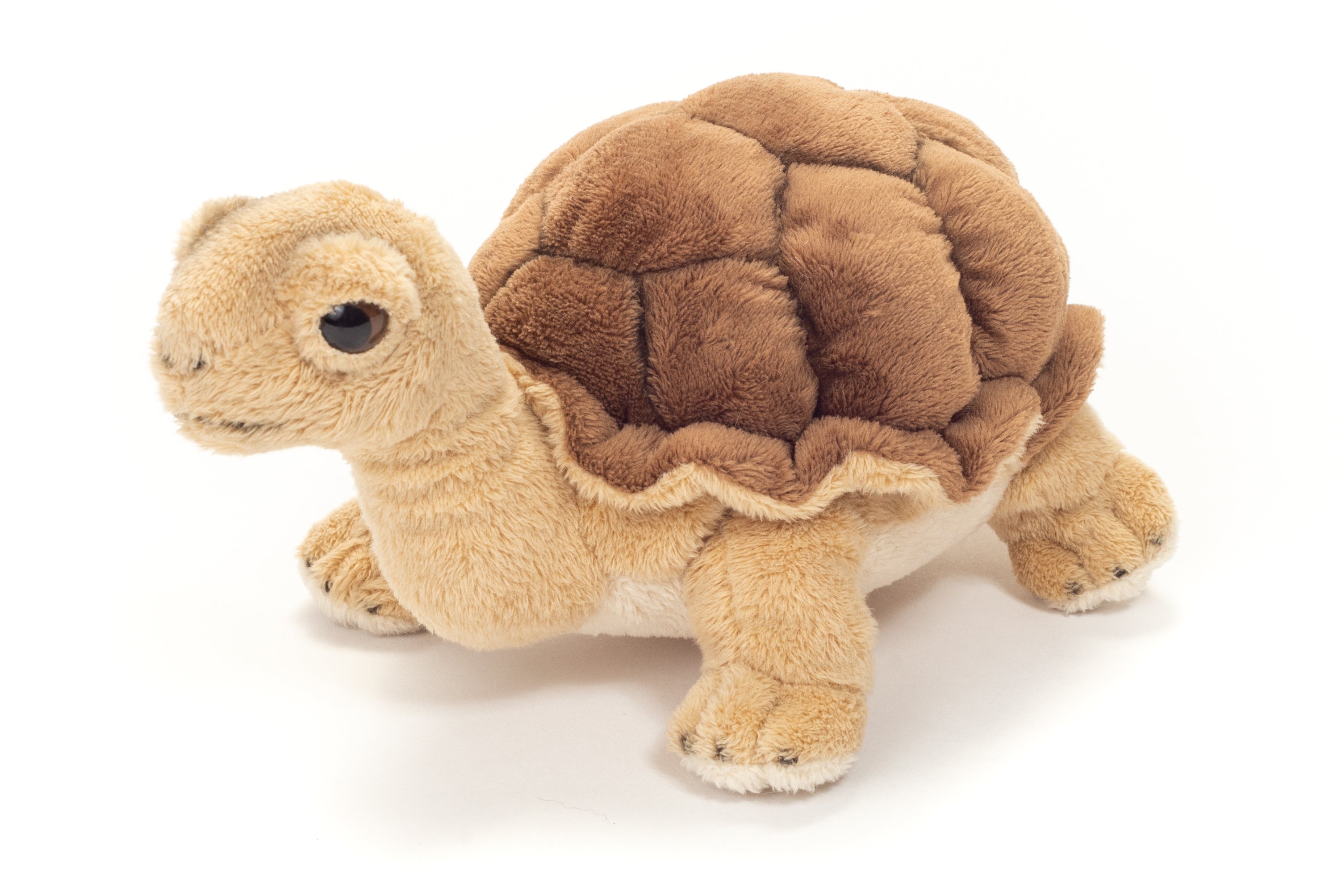 Schildkröte 20 cm