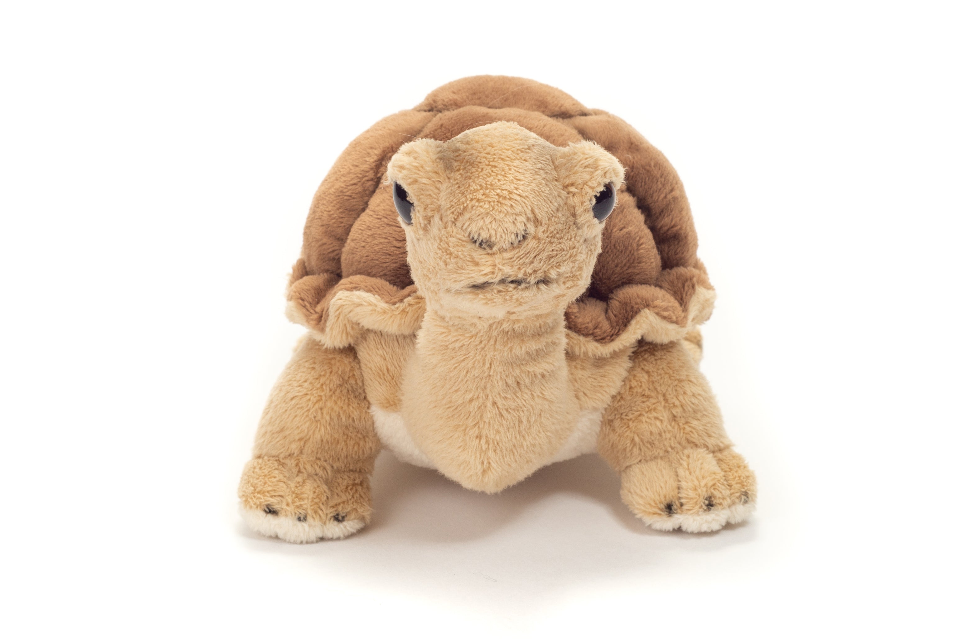 Schildkröte 20 cm