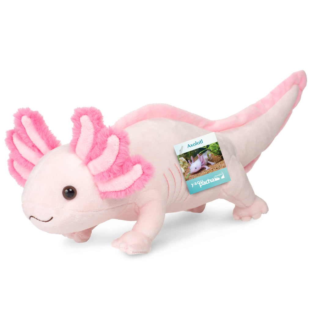 Axolotl 36 cm