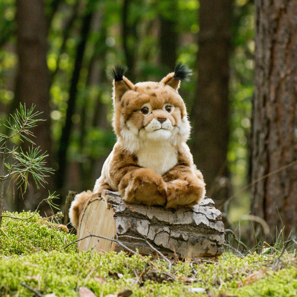 Luchs liegend 45 cm
