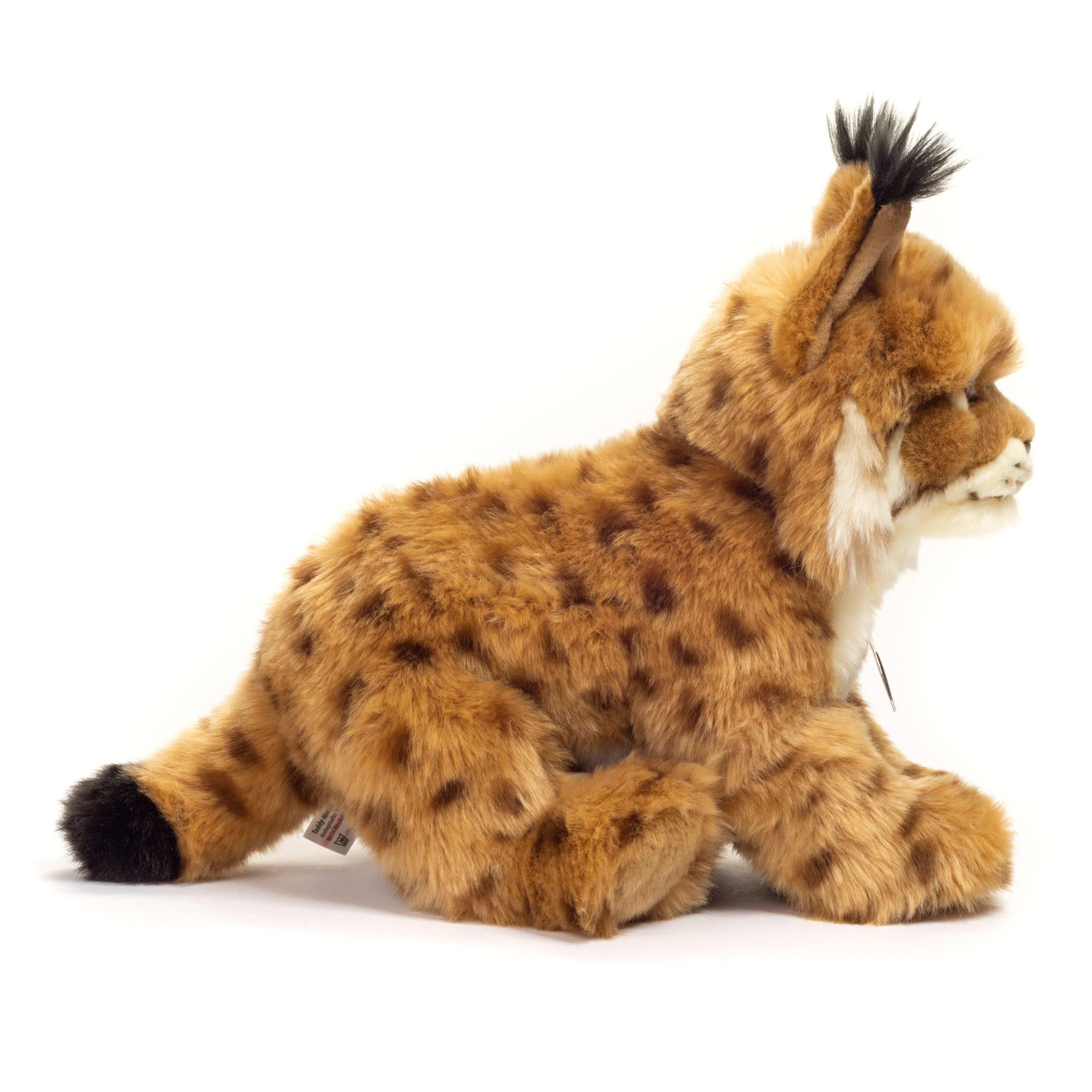 Luchs 26 cm