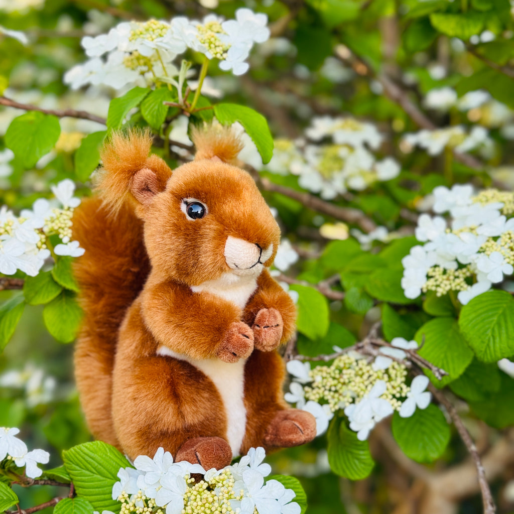 Eichhörnchen 17 cm