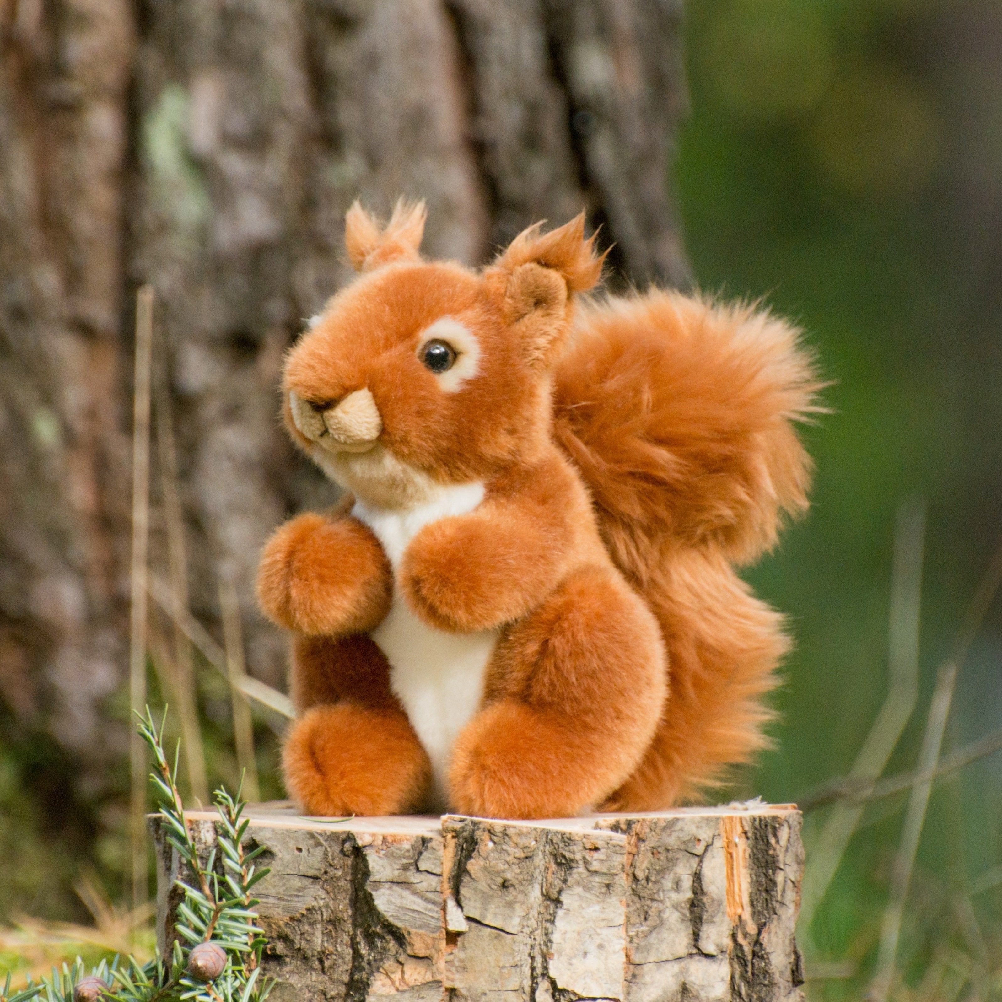 Eichhörnchen 14 cm