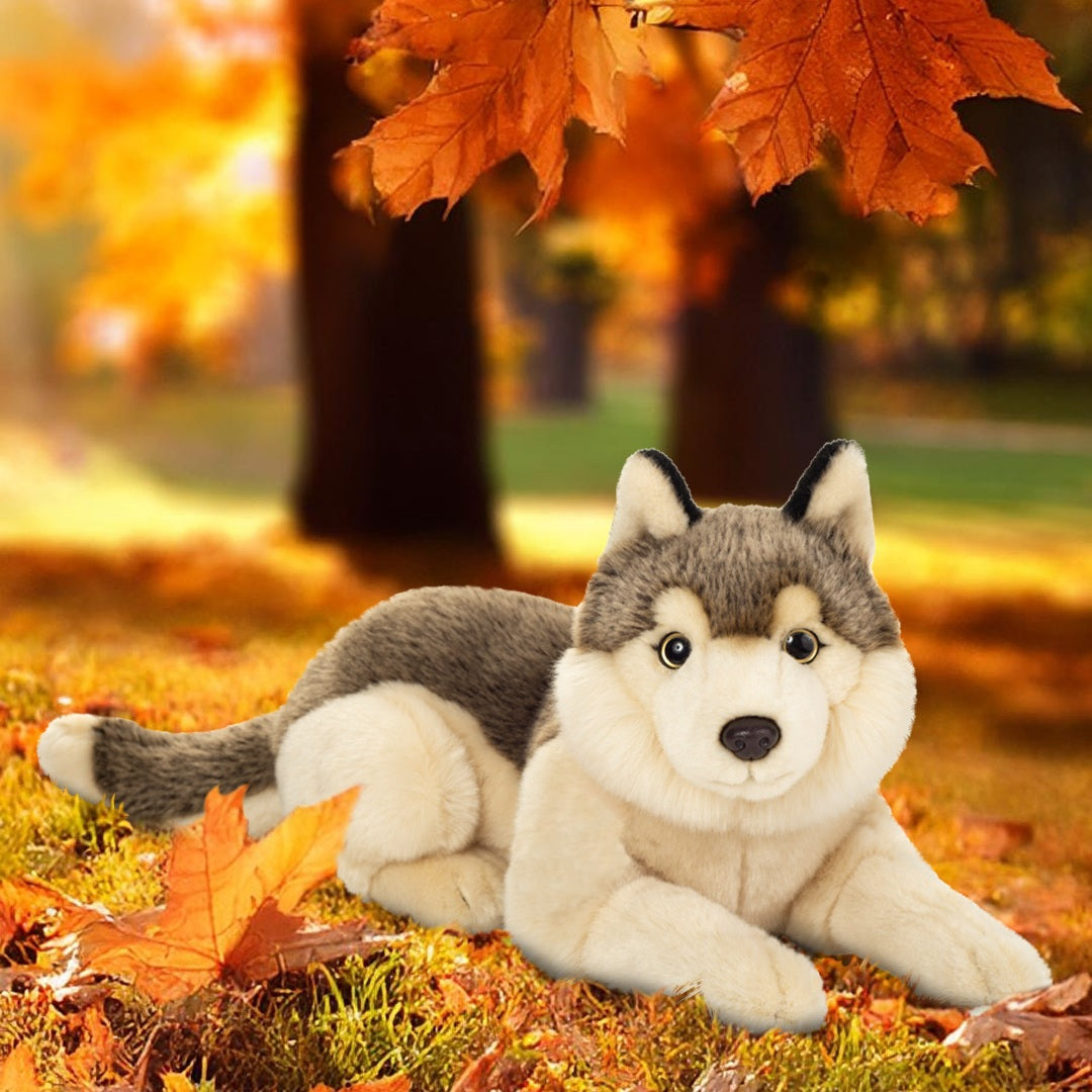 Wolf liegend 40 cm