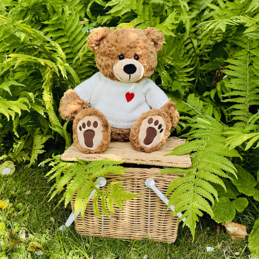 Teddy Percy mit Pullover 30 cm