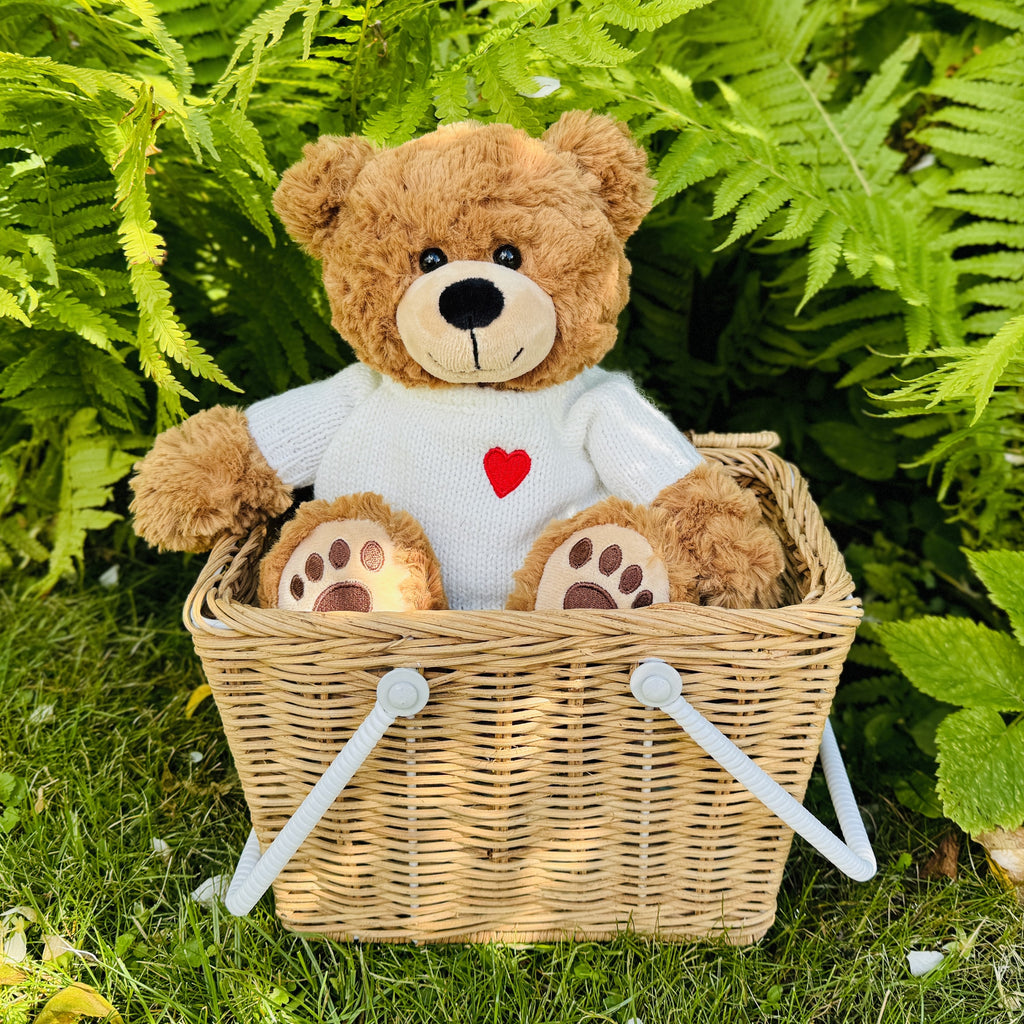 Teddy Percy mit Pullover 30 cm