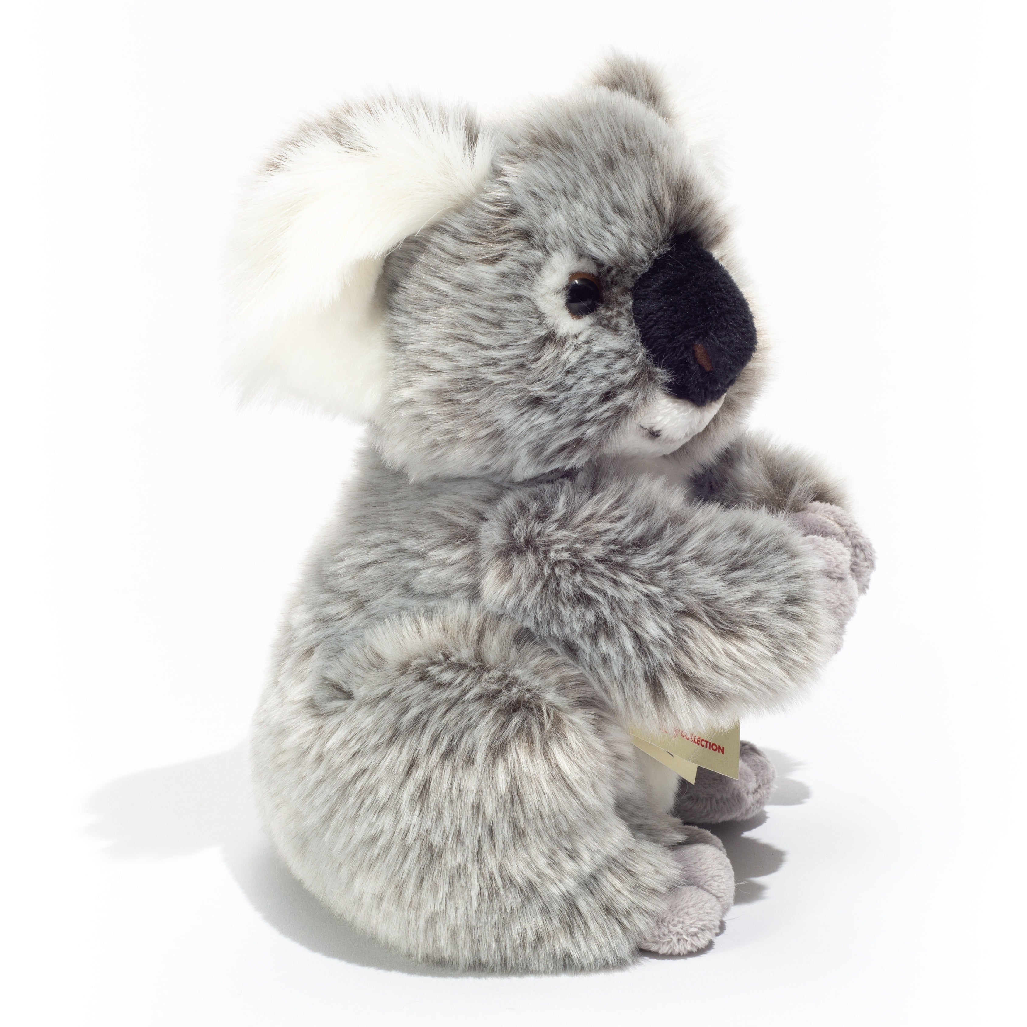 Koalabär 21 cm