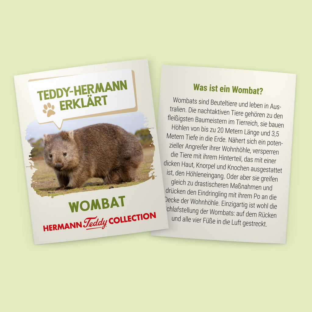 Wombat 26 cm