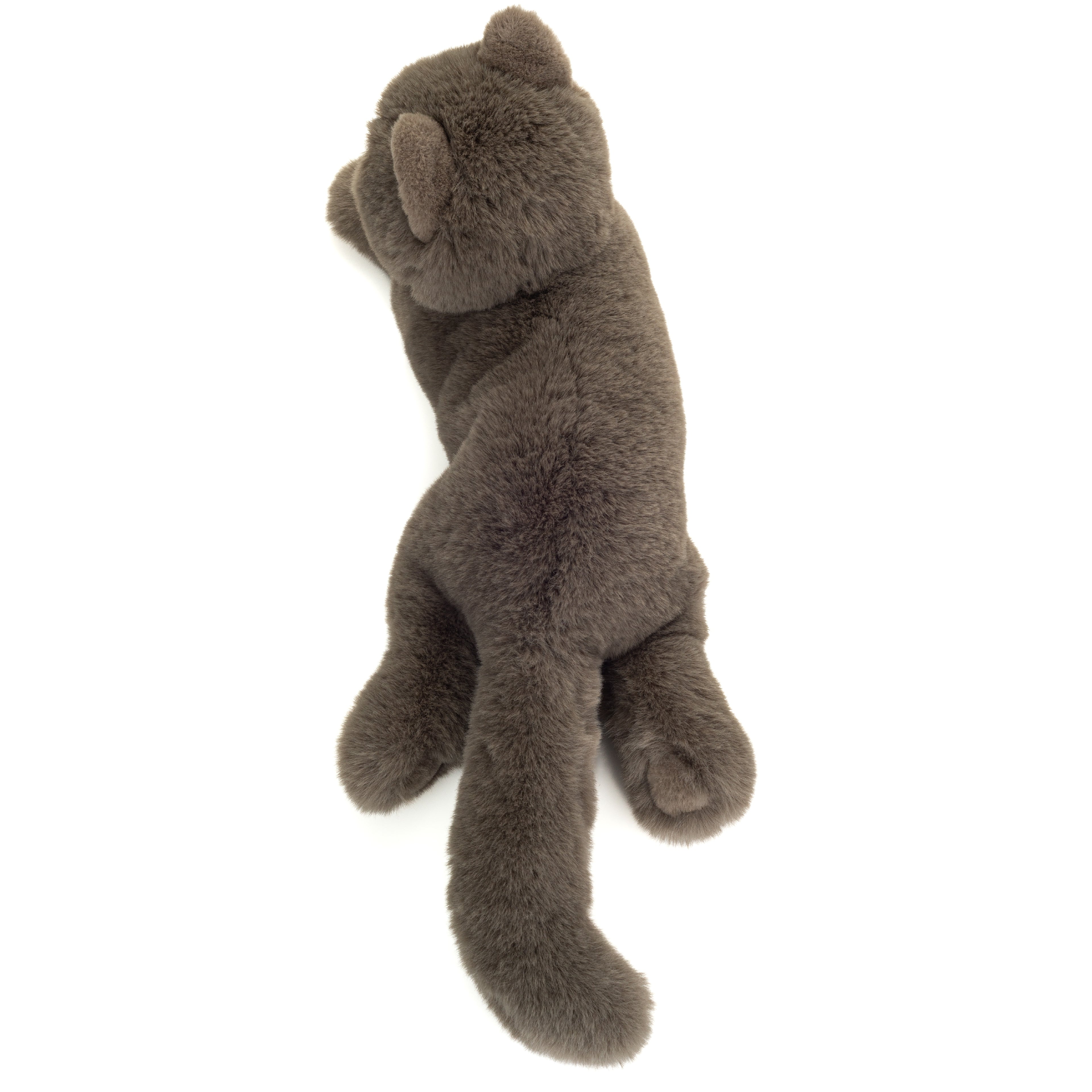 Kartäuserkatze liegend 36 cm
